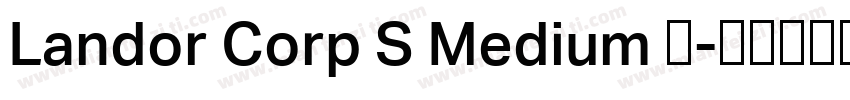 Landor Corp S Medium 中字体转换